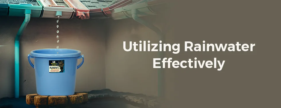 Monsoon Gardening Tips